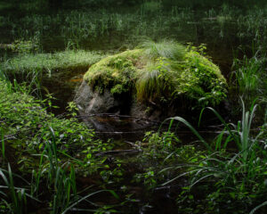 Glacial Rock, Whitney Wilderness Area, 2023