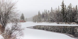 Raquette River Solitude, 2022